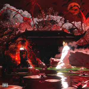 球员的娇妻未删减版在线观看中文
